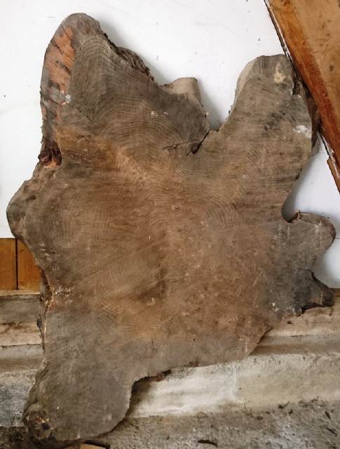 Baumscheibe Holzplatte ca. 60 jährig